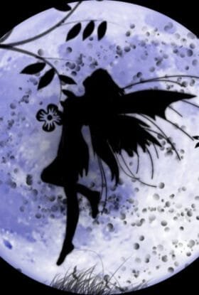 Проститутка Monika